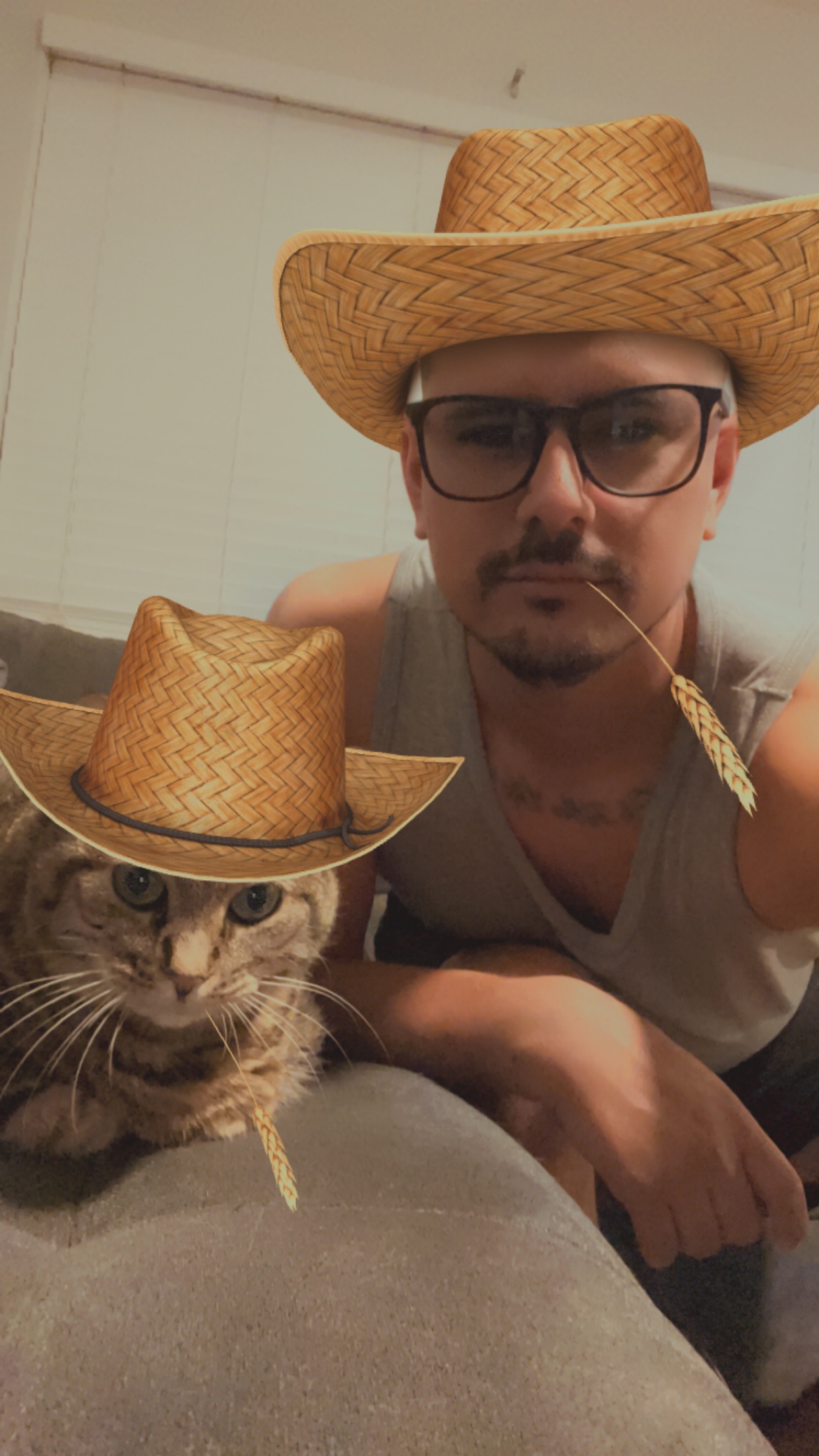 snapchat filter with cat